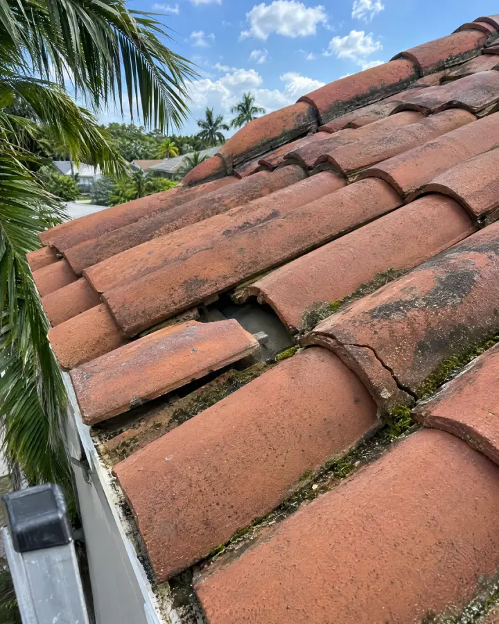 Clay roof tiles with cracks, moss and debris